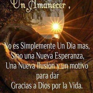 Meet your Posher, Ofelia